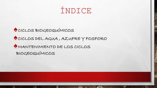 ÍNDICE 
♠CICLOS BIOGEOQUÍMICOS 
♠CICLOS DEL AGUA , AZUFRE Y FOSFORO 
♠MANTENIMIENTO DE LOS CICLOS 
BIOGEOQUÍMICOS 
 
