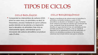 TIPOS DE CICLOS 
CICLO BIOLÓGICO 
• Comprende los intercambios de carbono (CO2) 
entre los seres vivos y la atmósfera, es decir, la 
fotosíntesis, proceso mediante el cual el carbono 
queda retenido en las plantas y la respiración 
que lo devuelve a la atmósfera. Este ciclo es 
relativamente rápido, estimándose que la 
renovación del carbono atmosférico se produce 
cada 20 años. 
CICLO BIOGEOQUÍMICO 
• Regula la transferencia de carbono entre la hidrosfera, la 
atmósfera y la litosfera (océanos y suelo). El CO2 
atmosférico se disuelve con facilidad en agua, formando 
ácido carbónico que ataca los silicatos que constituyen las 
rocas, resultando iones de bicarbonato. Estos iones 
disueltos en agua alcanzan el mar, son asimilados por los 
animales para formar sus tejidos, y tras su muerte se 
depositan en los sedimentos en forma de carbonatos. El 
retorno a la atmósfera se produce en las erupciones 
volcánicas tras la fusión de las rocas que lo contienen. 
 