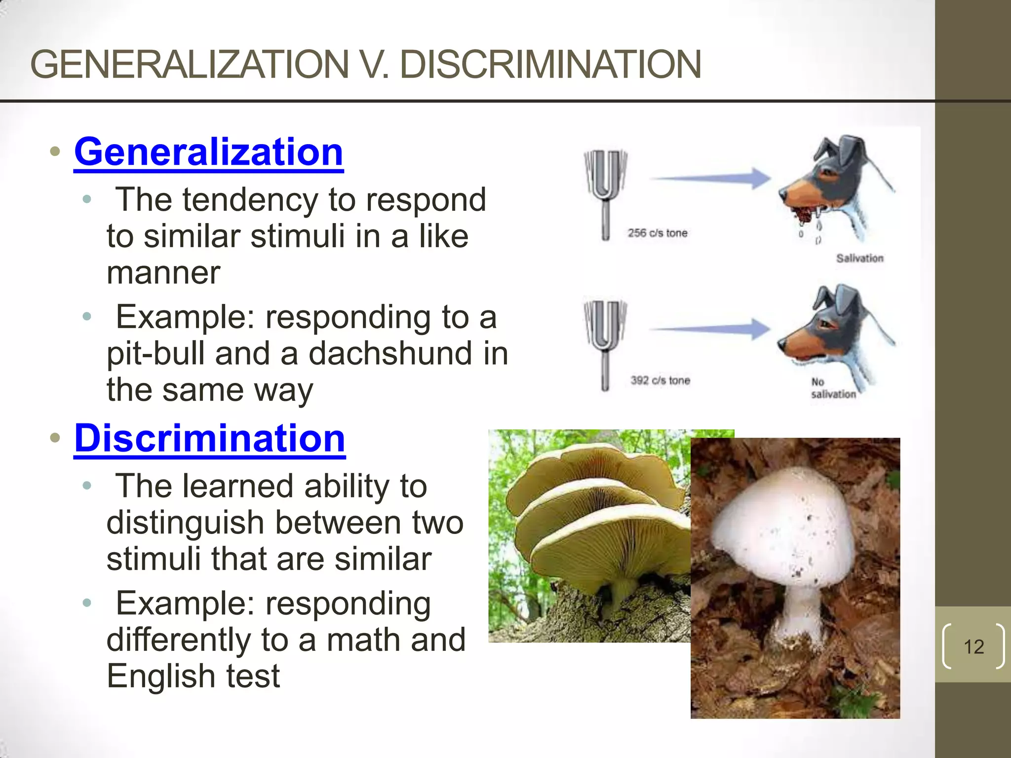 GENERALIZATION V. DISCRIMINATION
• Generalization
• The tendency to respond
to similar stimuli in a like
manner
• Example: responding to a
pit-bull and a dachshund in
the same way

• Discrimination
• The learned ability to
distinguish between two
stimuli that are similar
• Example: responding
differently to a math and
English test

12

 
