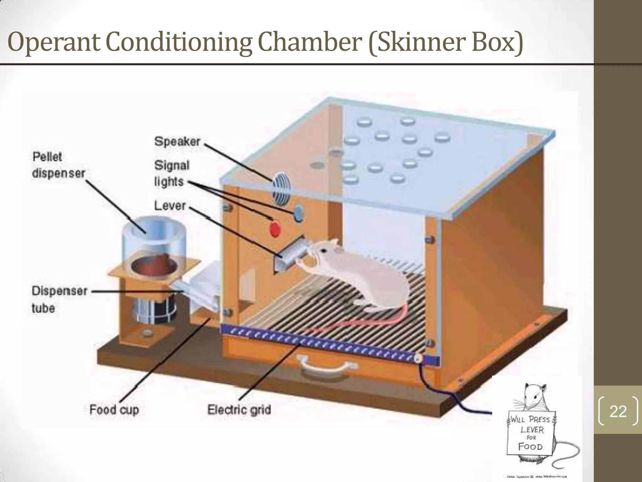 Operant Conditioning Chamber (Skinner Box)

22

 