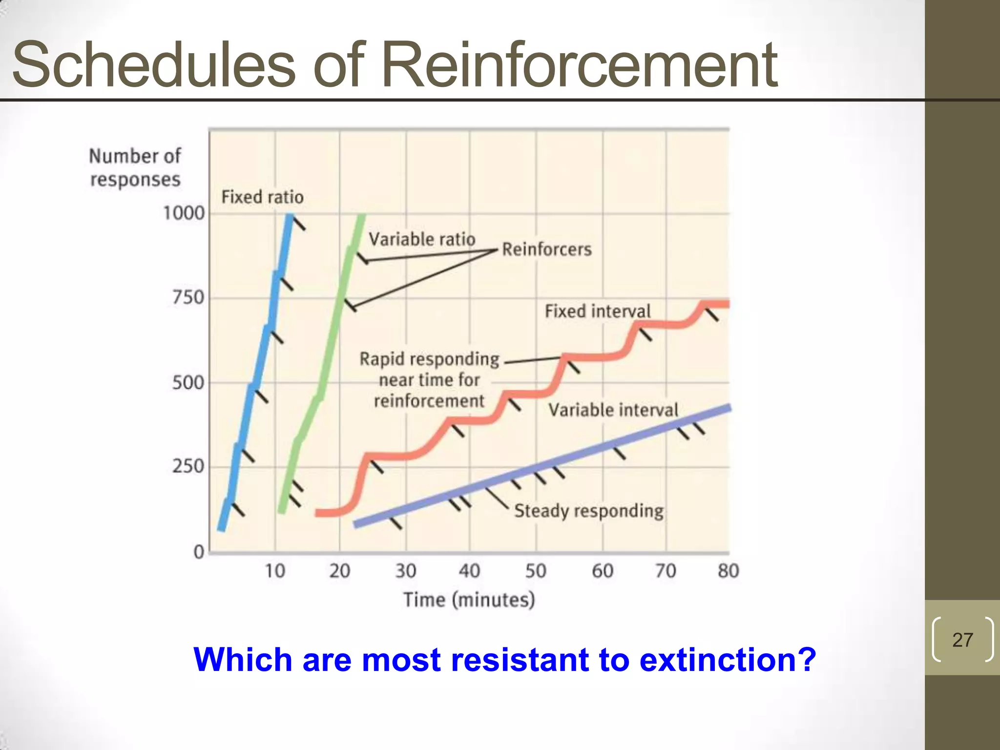 Schedules of Reinforcement

Which are most resistant to extinction?

27

 