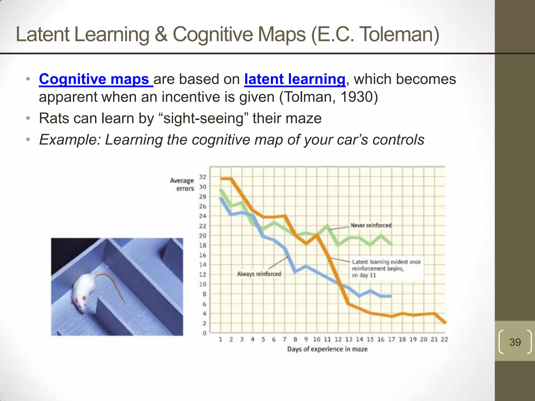 Latent Learning & Cognitive Maps (E.C. Toleman)
• Cognitive maps are based on latent learning, which becomes
apparent when an incentive is given (Tolman, 1930)
• Rats can learn by “sight-seeing” their maze
• Example: Learning the cognitive map of your car’s controls

39

 