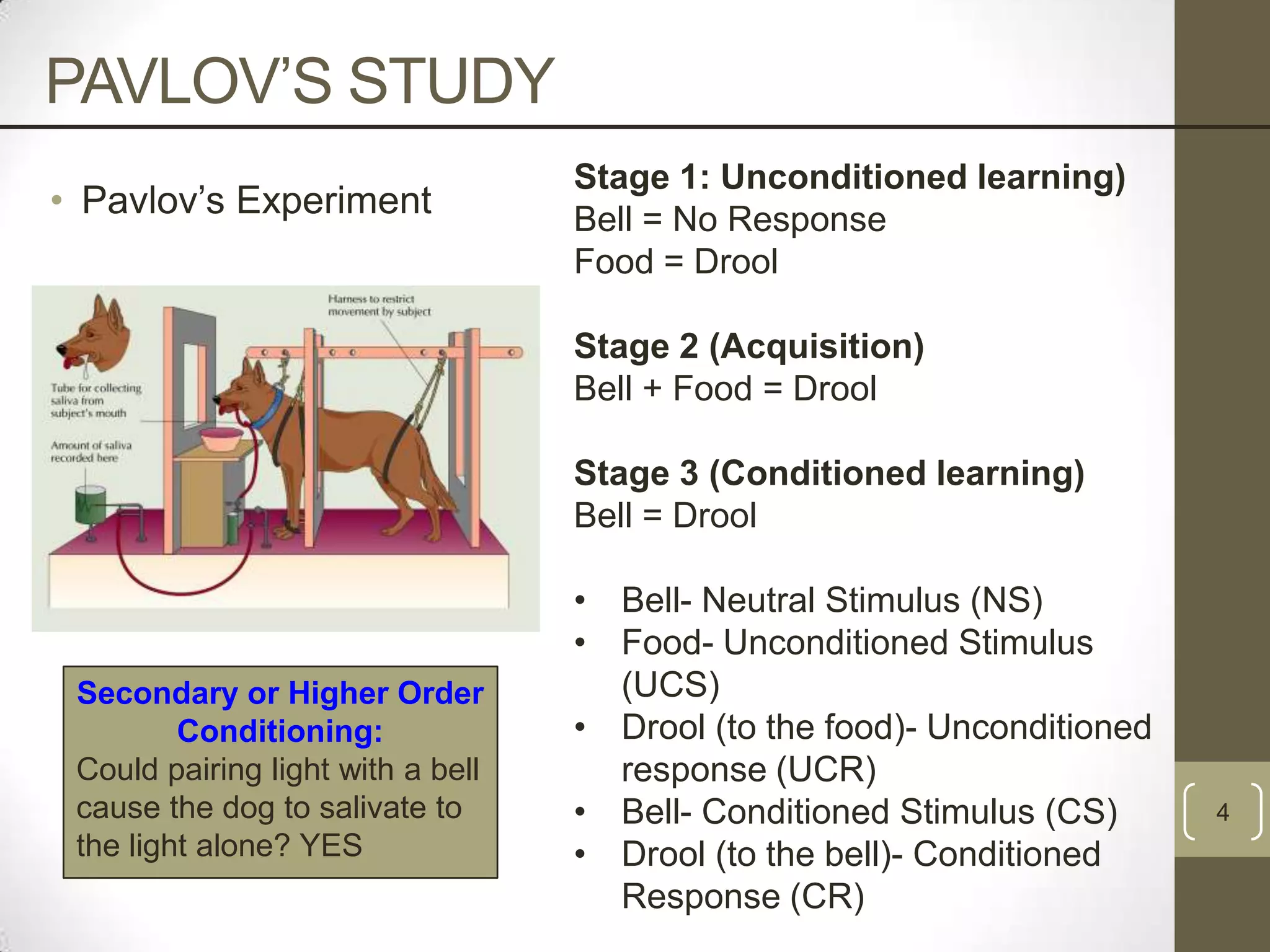 PAVLOV‟S STUDY
• Pavlov‟s Experiment

Stage 1: Unconditioned learning)
Bell = No Response
Food = Drool
Stage 2 (Acquisition)
Bell + Food = Drool
Stage 3 (Conditioned learning)
Bell = Drool

Secondary or Higher Order
Conditioning:
Could pairing light with a bell
cause the dog to salivate to
the light alone? YES

• Bell- Neutral Stimulus (NS)
• Food- Unconditioned Stimulus
(UCS)
• Drool (to the food)- Unconditioned
response (UCR)
• Bell- Conditioned Stimulus (CS)
• Drool (to the bell)- Conditioned
Response (CR)

4

 