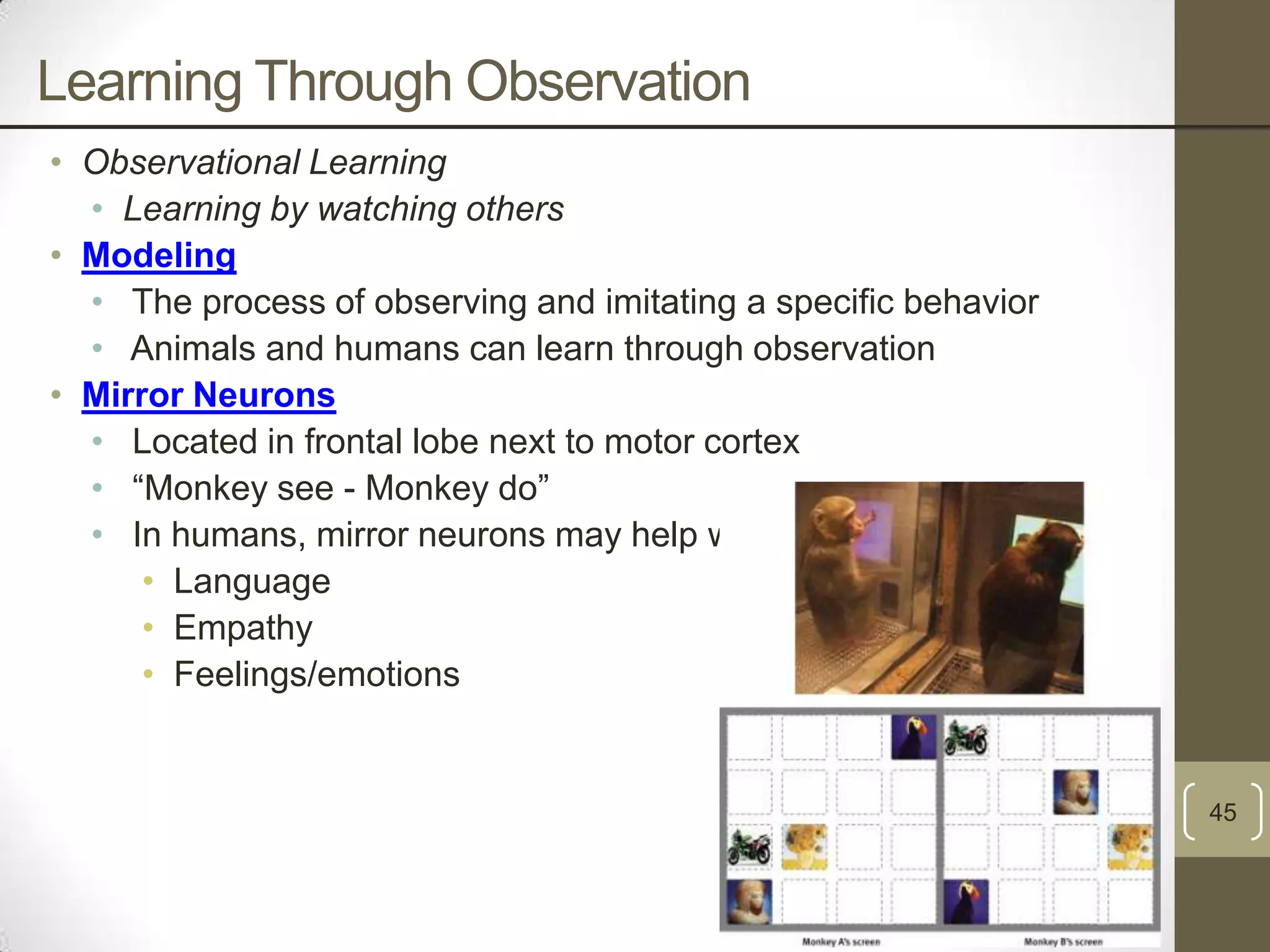 Learning Through Observation
• Observational Learning
• Learning by watching others
• Modeling
• The process of observing and imitating a specific behavior
• Animals and humans can learn through observation
• Mirror Neurons
• Located in frontal lobe next to motor cortex
• “Monkey see - Monkey do”
• In humans, mirror neurons may help with:
• Language
• Empathy
• Feelings/emotions

45

 