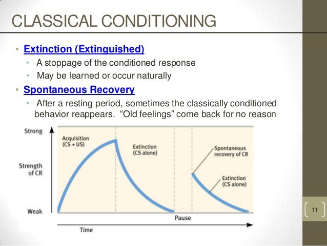 biological constraints in classical conditioning A conditioned taste aversion involves the avoidance of a certain food following a period of illness after consuming that food these aversions are a great example of how classical conditioning can result in changes in behavior, even after only one incidence of feeling ill. biological constraints in classical conditioning A conditioned taste aversion involves the avoidance of a certain food following a period of illness after consuming that food these aversions are a great example of how classical conditioning can result in changes in behavior, even after only one incidence of feeling ill.