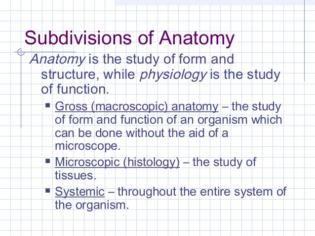 A & p lecture 1 082310 intro, descriptive anatomy, anatomical term…