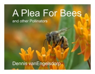 A Plea For Bees
and other Pollinators




Dennis vanEngelsdorp
 