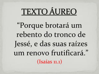 “ Porque brotará um rebento do tronco de Jessé, e das suas raízes um renovo frutificará.” (Isaías 11.1) 