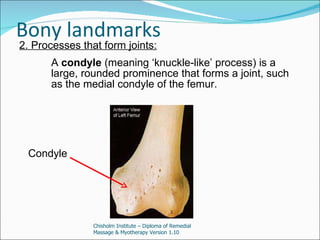 A&p lesson 1 introduction | PPT