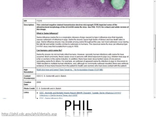 PHILhttp://phil.cdc.gov/phil/details.asp