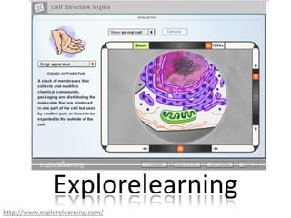 Explorelearninghttp://www.explorelearning.com/