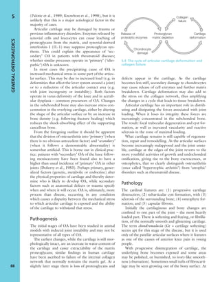 (Palotie et al., 1989; Knowlton et al., 1990), but it is
unlikely that this is a major aetiological factor in the
majority of cases.
Articular cartilage may be damaged by trauma or
previous inﬂammatory disorders. Enzymes released by
synovial cells and leucocytes can cause leaching of
proteoglycans from the matrix, and synovial-derived
interleukin-1 (IL-1) may suppress proteoglycan syn-
thesis. This could explain the appearance of ‘sec-
ondary’ OA in patients with rheumatoid diseases;
whether similar processes operate in ‘primary’ (‘idio-
pathic’) OA is unknown.
In most cases the precipitating cause of OA is
increased mechanical stress in some part of the articu-
lar surface. This may be due to increased load (e.g. in
deformities that affect the lever system around a joint)
or to a reduction of the articular contact area (e.g.
with joint incongruity or instability). Both factors
operate in varus deformity of the knee and in acetab-
ular dysplasia – common precursors of OA. Changes
in the subchondral bone may also increase stress con-
centration in the overlying cartilage, either by altering
the shape of the articular surface or by an increase in
bone density (e.g. following fracture healing) which
reduces the shock-absorbing effect of the supporting
cancellous bone.
From the foregoing outline it should be apparent
that the division of osteoarthritis into ‘primary’ (when
there is no obvious antecedent factor) and ‘secondary’
(when it follows a demonstrable abnormality) is
somewhat artiﬁcial. This is borne out in clinical prac-
tice: patients with ‘secondary’ OA of the knee follow-
ing meniscectomy have been found also to have a
higher than usual incidence of ‘primary’ OA in other
joints (Doherty et al., 1983). Perhaps primary, gener-
alized factors (genetic, metabolic or endocrine) alter
the physical properties of cartilage and thereby deter-
mine who is likely to develop OA, while secondary
factors such as anatomical defects or trauma specify
when and where it will occur. OA is, ultimately, more
process than disease, occurring in any condition
which causes a disparity between the mechanical stress
to which articular cartilage is exposed and the ability
of the cartilage to withstand that stress.
Pathogenesis
The initial stages of OA have been studied in animal
models with induced joint instability and may not be
representative of all types of OA.
The earliest changes, while the cartilage is still mor-
phologically intact, are an increase in water content of
the cartilage and easier extractability of the matrix
proteoglycans; similar ﬁndings in human cartilage
have been ascribed to failure of the internal collagen
network that normally restrains the matrix gel. At a
slightly later stage there is loss of proteoglycans and
defects appear in the cartilage. As the cartilage
becomes less stiff, secondary damage to chondrocytes
may cause release of cell enzymes and further matrix
breakdown. Cartilage deformation may also add to
the stress on the collagen network, thus amplifying
the changes in a cycle that leads to tissue breakdown.
Articular cartilage has an important role in distrib-
uting and dissipating the forces associated with joint
loading. When it loses its integrity these forces are
increasingly concentrated in the subchondral bone.
The result: focal trabecular degeneration and cyst for-
mation, as well as increased vascularity and reactive
sclerosis in the zone of maximal loading.
What cartilage remains is still capable of regenera-
tion, repair and remodelling. As the articular surfaces
become increasingly malapposed and the joint unsta-
ble, cartilage at the edges of the joint reverts to the
more youthful activities of growth and endochondral
ossiﬁcation, giving rise to the bony excrescences, or
osteophytes, that so clearly distinguish osteoarthritis
(once called ‘hypertrophic arthritis’) from ‘atrophic’
disorders such as rheumatoid disease.
Pathology
The cardinal features are: (1) progressive cartilage
destruction; (2) subarticular cyst formation, with (3)
sclerosis of the surrounding bone; (4) osteophyte for-
mation; and (5) capsular ﬁbrosis.
Initially the cartilaginous and bony changes are
conﬁned to one part of the joint – the most heavily
loaded part. There is softening and fraying, or ﬁbrilla-
tion, of the normally smooth and glistening cartilage.
The term chondromalacia (Gr = cartilage softening)
seems apt for this stage of the disease, but it is used
only of the patellar articular surfaces where it features
as one of the causes of anterior knee pain in young
people.
With progressive disintegration of cartilage, the
underlying bone becomes exposed and some areas
may be polished, or burnished, to ivory-like smooth-
ness (eburnation). Sometimes small tufts of ﬁbrocarti-
lage may be seen growing out of the bony surface. At
GENERALORTHOPAEDICS
88
5
5.4 The cycle of articular cartilage deformation and
collagen failure
Release of
proteolytic enzymes
Proteoglycan
matrix depletion
Cartilage
deformation
Collagen
failure
Chondrocyte
damage
 