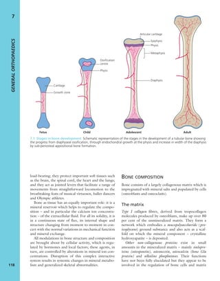load-bearing; they protect important soft tissues such
as the brain, the spinal cord, the heart and the lungs;
and they act as jointed levers that facilitate a range of
movements from straightforward locomotion to the
breathtaking feats of musical virtuosos, ballet dancers
and Olympic athletes.
Bone as tissue has an equally important role: it is a
mineral reservoir which helps to regulate the compo-
sition – and in particular the calcium ion concentra-
tion – of the extracellular ﬂuid. For all its solidity, it is
in a continuous state of ﬂux, its internal shape and
structure changing from moment to moment in con-
cert with the normal variations in mechanical function
and mineral exchange.
All modulations in bone structure and composition
are brought about by cellular activity, which is regu-
lated by hormones and local factors; these agents, in
turn, are controlled by alterations in mineral ion con-
centrations. Disruption of this complex interactive
system results in systemic changes in mineral metabo-
lism and generalized skeletal abnormalities.
BONE COMPOSITION
Bone consists of a largely collagenous matrix which is
impregnated with mineral salts and populated by cells
(osteoblasts and osteoclasts).
The matrix
Type I collagen ﬁbres, derived from tropocollagen
molecules produced by osteoblasts, make up over 80
per cent of the unmineralized matrix. They form a
network which embodies a mucopolysaccharide (pro-
teoglycans) ground substance and also acts as a scaf-
fold on which the mineral component – crystalline
hydroxyapatite – is deposited.
Other non-collagenous proteins exist in small
amounts in the mineralized matrix – mainly sialopro-
teins (osteopontin), osteonectin, osteocalcin (bone Gla
protein) and alkaline phosphatases. Their functions
have not been fully elucidated but they appear to be
involved in the regulation of bone cells and matrix
GENERALORTHOPAEDICS
118
7
Fetus Child Adolescent Adult
Cartilage
Growth zone
Ossification
centre
Physis
Articular cartilage
Epiphysis
Physis
Diaphysis
Metaphysis
7.1 Stages in bone development Schematic representation of the stages in the development of a tubular bone showing
the progress from diaphyseal ossiﬁcation, through endochondral growth at the physis and increase in width of the diaphysis
by sub-periosteal appositional bone formation.
 