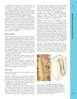 mineralization. Osteocalcin is produced only by
osteoblasts and its concentration in the blood is, to
some extent, a measure of osteoblastic activity.
A number of growth factors have now been identiﬁed;
they are produced by the osteoblasts and some of them,
acting in combination, have a regulatory effect on bone
cell development, differentiation and metabolism.
Bone morphogenetic protein (BMP) – a collection of
growth factor proteins – has attracted a great deal of
attention. It was originally found by Marshall Urist in
1964 (Urist, 1965) and is now produced in puriﬁed
form from bone matrix. It has been shown to have the
important property of inducing the differentiation of
progenitor cells into cartilage and thereafter into
bone. It is now produced commercially and is being
used to enhance osteogenesis in bone fusion opera-
tions (Rihn et al., 2008).
Bone mineral
Almost half the bone volume is mineral matter –
mainly calcium and phosphate in the form of crystalline
hydroxyapatite which is laid down in osteoid at the cal-
ciﬁcation front. The interface between bone and
osteoid can be labelled by administering tetracycline,
which is taken up avidly in newly mineralized bone
and shows as a ﬂuorescent band on ultraviolet light
microscopy. In mature bone the proportions of cal-
cium and phosphate are constant and the molecule is
ﬁrmly bound to collagen. It is important to appreciate
that in life ‘demineralization’ of bone occurs only by
resorption of the entire matrix.
While the collagenous component lends tensile
strength to bone, the crystalline mineral enhances its
ability to resist compression.
Unmineralized matrix is known as osteoid; in nor-
mal life it is seen only as a thin layer on surfaces where
active new bone formation is taking place, but the
proportion of osteoid to mineralized bone increases
signiﬁcantly in rickets and osteomalacia.
Bone cells
There are three types of bone cell: osteoblasts, osteo-
cytes and osteoclasts.
Osteoblasts Osteoblasts are concerned with bone
formation and osteoclast activation. They are derived
from mesenchymal precursors in the bone marrow and
the deep layer of the periosteum. Differentiation is
controlled by a number of interacting growth factors,
including bone morphogenetic proteins.
Mature osteoblasts form rows of small (20 μm)
mononuclear cells along the free surfaces of trabecu-
lae and haversian systems where osteoid is laid down
prior to calciﬁcation. They are rich in alkaline phos-
phatase and are responsible for the production of type
I collagen as well as the non-collagenous bone pro-
teins and for the mineralization of bone matrix (Peck
and Woods, 1988). Stimulated by parathyroid hor-
mone (PTH), they play a critical role in the initiation
and control of osteoclastic activity (page 122).
At the end of each bone remodelling cycle the
osteoblasts either remain on the newly formed bone
surface as quiescent lining cells or they become
embedded in the matrix as ‘resting’ osteocytes. Dur-
ing advanced ageing their numbers decrease.
Osteocytes These cells can be regarded as spent
osteoblasts; however, they are by no means inactive.
Lying in their bony lacunae, they communicate with
each other and with the surface lining cells by slender
cytoplasmic processes. Their function is obscure: they
may, under the inﬂuence of PTH, participate in bone
resorption (‘osteocytic osteolysis’) and calcium ion
transport (Peck and Woods, 1988). It has also been
suggested that they are sensitive to mechanical stimuli
and communicate information and changes in stress and
strain to the active osteoblasts (Skerry et al., 1989) which
can then modify their osteogenic activity accordingly.
Ultimately the ageing osteocytes are phagocytosed
during osteoclastic bone resorption and remodelling.
Osteoclasts These large multinucleated cells are the
principal mediators of bone resorption. They develop
from mononuclear precursors in the haemopoietic
marrow (the same lineage as macrophages) under the
inﬂuence of local osteoblastic stromal cells that
generate an essential osteoclast differentiating factor –
Metabolicandendocrinedisorders
119
7
(b)(a)
7.2 Bone cells (a) Histological section showing a
trabecula lined on one surface by excavating osteoclasts
and on the other surface by a string of much smaller
osteoblasts. These two types of cell, working in concert,
continuously remodel the internal bone structure. (b) In
compact bone the osteoclasts burrow deeply into the
existing bone, with the osteoblasts following close behind
to re-line the cavity with new bone.
 