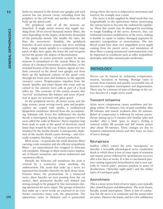 limbs are situated in the dorsal root ganglia and each
neuron has one process (axon) extending from the
periphery to the cell body and another from the cell
body up the spinal cord.
The peripheral ends of all the neurons are
branched. A single motor neuron may supply any-
thing from 10 to several thousand muscle ﬁbres, the
ratio depending on the degree of dexterity demanded
of the particular muscle (the smaller the ratio, the
ﬁner the movement). Similarly, the peripheral
branches of each sensory neuron may serve anything
from a single muscle spindle to a comparatively large
patch of skin; here again, the fewer the end receptors
served the greater the degree of discrimination.
The signal, or action potential, carried by motor
neurons is transmitted to the muscle ﬁbres by the
release of a chemical transmitter, acetylcholine, at the
terminal bouton of the nerve. Sensory signals are sim-
ilarly conveyed to the dorsal root ganglia and from
there up the ipsilateral column of the spinal cord,
through the brain-stem and thalamus, to the opposite
(sensory) cortex. Proprioceptive impulses from the
muscle spindles and joints bypass this route and are
carried to the anterior horn cells as part of a local
reﬂex arc. The economy of this system ensures that
‘survival’ mechanisms like balance and sense of posi-
tion in space are activated with great speed.
In the peripheral nerves, all motor axons and the
large sensory axons serving touch, pain and proprio-
ception are coated with myelin, a multilayered
lipoprotein membrane derived from the accompany-
ing Schwann cells. Every few millimetres the myelin
sheath is interrupted, leaving short segments of bare
axon called the nodes of Ranvier. Nerve impulses leap
from node to node at the speed of electricity, much
faster than would be the case if these axons were not
insulated by the myelin sheaths. Consequently, deple-
tion of the myelin sheath causes slowing – and even-
tually complete blocking – of axonal conduction.
Most axons – in particular the small-diameter ﬁbres
carrying crude sensation and the efferent sympathetic
ﬁbres – are unmyelinated but wrapped in Schwann
cell cytoplasm. Damage to these axons causes unpleas-
ant or bizarre sensations and various sudomotor and
vasomotor effects.
Outside the Schwann cell membrane the axon is
covered by a connective tissue stocking, the
endoneurium. The axons that make up a nerve are
separated into bundles (fascicles) by fairly dense mem-
branous tissue, the perineurium. In a transected
nerve, these fascicles are seen pouting from the cut
surface, their perineurial sheaths well deﬁned and
strong enough to be grasped by ﬁne instruments dur-
ing operations for nerve repair. The groups of fascicles
that make up a nerve trunk are enclosed in an even
thicker connective tissue coat, the epineurium. The
epineurium varies in thickness and is particularly
strong where the nerve is subjected to movement and
traction, for example near a joint.
The nerve is richly supplied by blood vessels that run
longitudinally in the epineurium before penetrating
the various layers to become the endoneurial capillar-
ies. These ﬁne vessels may be damaged by stretching
or rough handling of the nerve; however, they can
withstand extensive mobilization of the nerve, making
it feasible to repair or replace damaged segments by
operative transposition or neurotization. The tiny
blood vessels have their own sympathetic nerve supply
coming from the parent nerve, and stimulation of
these ﬁbres (causing intraneural vasoconstriction) may
be important in conditions such as reﬂex sympathetic
dystrophy and other unusual pain syndromes.
PATHOLOGY
Nerves can be injured by ischaemia, compression,
traction, laceration or burning. Damage varies in
severity from transient and quickly recoverable loss of
function to complete interruption and degeneration.
There may be a mixture of types of damage in the var-
ious fascicles of a single nerve trunk.
Transient ischaemia
Acute nerve compression causes numbness and tin-
gling within 15 minutes, loss of pain sensibility after
30 minutes and muscle weakness after 45 minutes.
Relief of compression is followed by intense paraes-
thesiae lasting up to 5 minutes (the familiar ‘pins and
needles’ after a limb ‘goes to sleep’); feeling is
restored within 30 seconds and full muscle power
after about 10 minutes. These changes are due to
transient endoneurial anoxia and they leave no trace
of nerve damage.
Neurapraxia
Seddon (1942) coined the term ‘neurapraxia’ to
describe a reversible physiological nerve conduction
block in which there is loss of some types of sensation
and muscle power followed by spontaneous recovery
after a few days or weeks. It is due to mechanical pres-
sure causing segmental demyelination and is seen typ-
ically in ‘crutch palsy’, pressure paralysis in states of
drunkenness (‘Saturday night palsy’) and the milder
types of tourniquet palsy.
Axonotmesis
This is a more severe form of nerve injury, seen typically
after closed fractures and dislocations. The term means,
literally, axonal interruption. There is loss of conduc-
tion but the nerve is in continuity and the neural tubes
are intact. Distal to the lesion, and for a few millimetres
GENERALORTHOPAEDICS
270
11
 