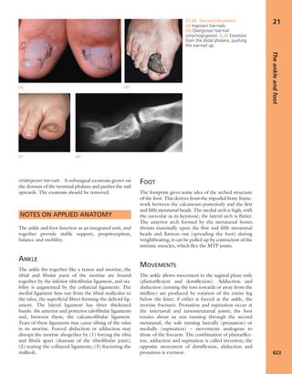Apley's shoulderjt examination