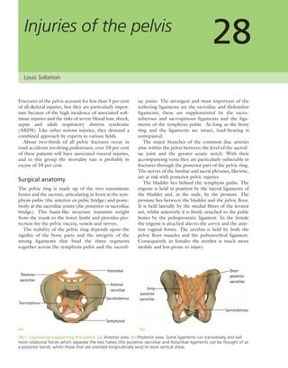 Apley's shoulderjt examination