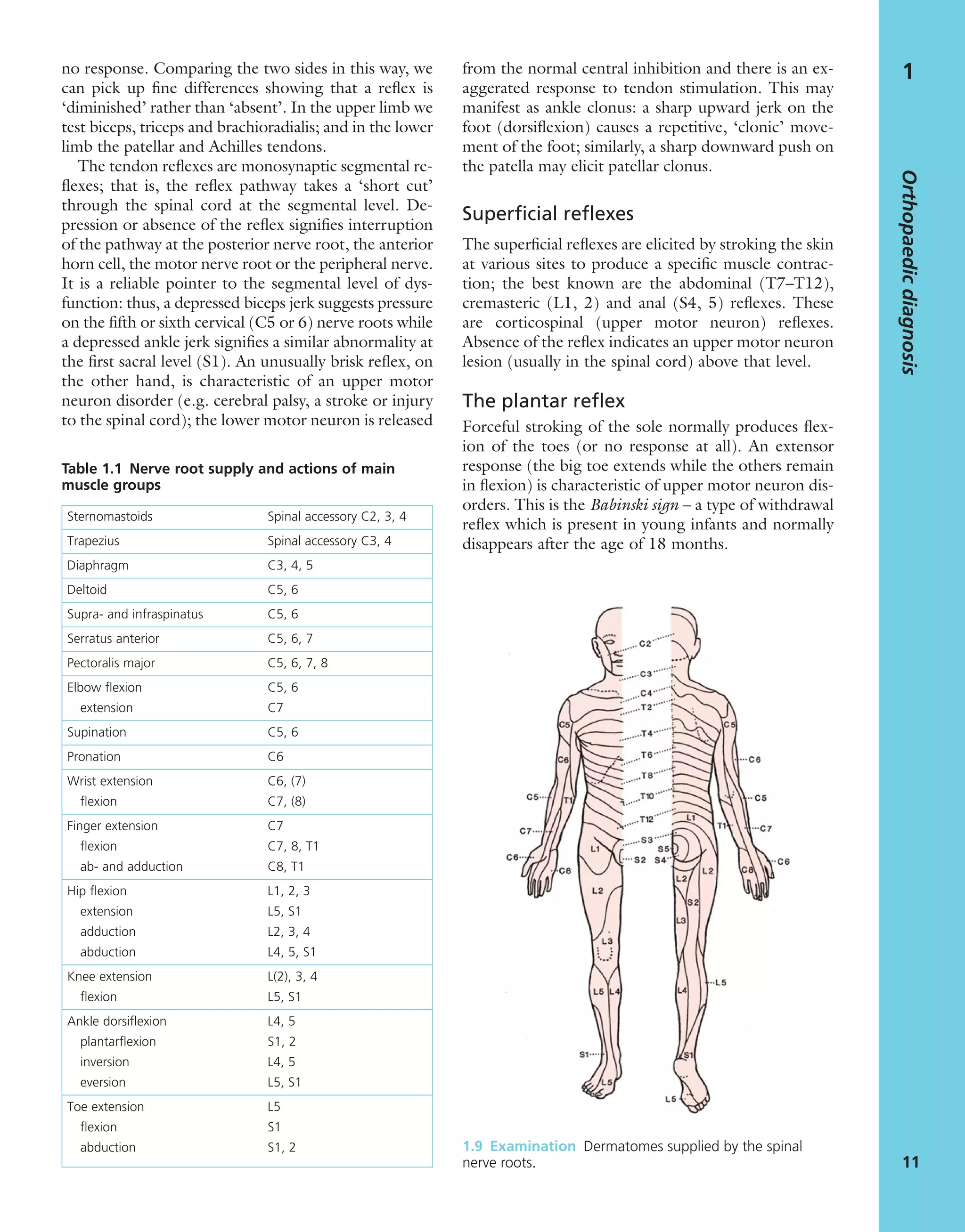 Orthopaedics And Fractures Pdf Download BSBF