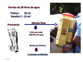 06/10/11 Bomba de 20 litros de agua  Triatox :  33 ml  Garafos C : 15 ml  Premezcla  Mezcla final  1 litro por cada 100 kilos de peso Bomba de 20 litros  5 animales de 400 kilos  