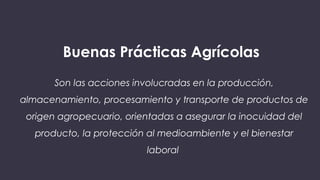 Buenas Prácticas Agrícolas
Son las acciones involucradas en la producción,
almacenamiento, procesamiento y transporte de productos de
origen agropecuario, orientadas a asegurar la inocuidad del
producto, la protección al medioambiente y el bienestar
laboral
 