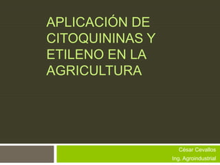 APLICACIÓN DE
CITOQUININAS Y
ETILENO EN LA
AGRICULTURA

César Cevallos

Ing. Agroindustrial

 