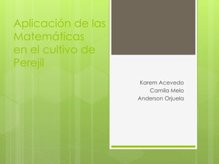 Aplicación de las
Matemáticas
en el cultivo de
Perejil
Karem Acevedo
Camila Melo
Anderson Orjuela
 