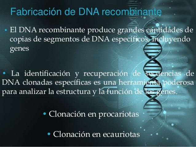 Aplicación de la tecnología del DNA