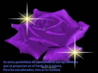 Su única posibilidad de conocimiento son las sombras
que se proyectan en el fondo de la misma.
Para los encadenados, ésta es la realidad.
Moises Logroño G.
 