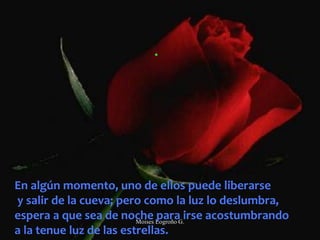 .
En algún momento, uno de ellos puede liberarse
y salir de la cueva; pero como la luz lo deslumbra,
espera a que sea de noche para irse acostumbrando
a la tenue luz de las estrellas.
Moises Logroño G.
 