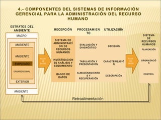 4.- COMPONENTES DEL SISTEMAS DE INFORMACIÓN
  GERENCIAL PARA LA ADMINISTRACIÓN DEL RECURSO
                     HUMANO
ESTRATOS DEL
  AMBIENTE                RECEPCIÓN        PROCESAMIEN      UTILIZACIÓN
                                               TO
   MACRO                                                                              SISTEMA
                                                                                         DE
                           SISTEMA DE                                                RECURSOS
                          ADMINISTRACÍ                                               HUMANOS
  AMBIENTE                    ON DE
                                            EVALUACIÓN Y
                                                               DECISIÓN
                                            DIAGNÓSTICO
                            RECURSOS                                                 PLANEACIÓN
                            HUMANOS
  AMBIENTE
                  FLUJO                                                      FLUJO
                          INVESTIGACION                                       DE     ORGANIZACIÓ
                   DE                       TABULACIÓN Y    CARACTERIZACIÓ
  EMPLEADO        DATOS    ES ANÁLISIS Y    PRESENTACIÓN          N          DATOS       N
                           SEGUIMIENTO

 ORGANIZACIONAL
                                           ALMACENAMIENTO
                            BANCO DE                                                  CONTROL
                                                 S Y         DESCRIPCIÓN
                             DATOS          RECUPERACIÓN
  EXTERIOR


  AMBIENTE

                                       Retroalimentación
 
