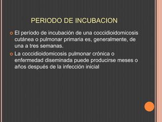 PERIODO DE INCUBACION
 El período de incubación de una coccidioidomicosis
cutánea o pulmonar primaria es, generalmente, de
una a tres semanas.
 La coccidioidomicosis pulmonar crónica o
enfermedad diseminada puede producirse meses o
años después de la infección inicial
 