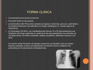 FORMA CLINICA
 Coccidioidomicosis primaria pulmonar
 Se puede dividir en dos grupos:
 a) Asintomático (60-75%) primo-contacto sin signos ni síntomas, pero con positividad a
la intradermorreacción (coccidioidina), la imagen radiológica no muestra signos de
importancia.
 b) Sintomático (25-40%), con manifestaciones clínicas 15 a 20 días posteriores a la
inhalación del hongo; aparenta un cuadro leve de vías respiratorias, se confunde con
una gripe banal, con fiebre moderada, cefalea, escalofríos, diaforesis nocturna y tos
seca.
En pulmón existe formación de nódulos (neumonía coccidioidal), rara vez existen
lesiones cavitarias, incluso coccidioidomas, de manera crónica, similares a los
producidos por la tuberculosis e histoplasmosis.
 