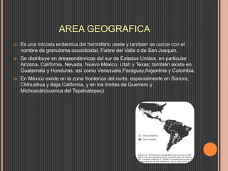 AREA GEOGRAFICA
 Es una micosis endemica del hemisferio oeste y tambien se conce con el
nombre de granuloma coccidioidal, Fiebre del Valle o de San Joaquin.
 Se distribuye en áreasendémicas del sur de Estados Unidos, en particular
Arizona, California, Nevada, Nuevo México, Utah y Texas; también existe en
Guatemala y Honduras, así como Venezuela,Paraguay,Argentina y Colombia.
 En México existe en la zona fronteriza del norte, especialmente en Sonora,
Chihuahua y Baja California, y en los límites de Guerrero y
Michoacán(cuenca del Tepalcatepec)
 