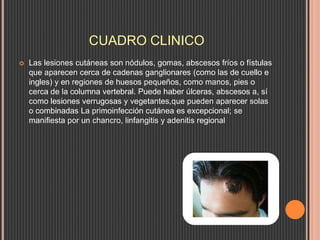 CUADRO CLINICO
 Las lesiones cutáneas son nódulos, gomas, abscesos fríos o fístulas
que aparecen cerca de cadenas ganglionares (como las de cuello e
ingles) y en regiones de huesos pequeños, como manos, pies o
cerca de la columna vertebral. Puede haber úlceras, abscesos a, sí
como lesiones verrugosas y vegetantes,que pueden aparecer solas
o combinadas La primoinfección cutánea es excepcional; se
manifiesta por un chancro, linfangitis y adenitis regional
 