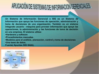 Aplicación de un sitema de informaciòn | PPTX