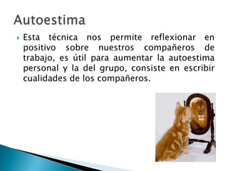  Esta técnica nos permite reflexionar en
positivo sobre nuestros compañeros de
trabajo, es útil para aumentar la autoestima
personal y la del grupo, consiste en escribir
cualidades de los compañeros.
 