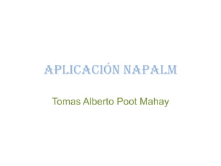 Aplicación NapalmTomas Alberto Poot Mahay
