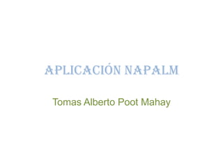 Aplicación Napalm Tomas Alberto Poot Mahay 