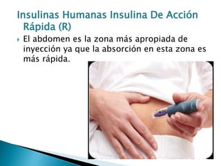 Insulinas Humanas Insulina De Acción
Rápida (R)
 El abdomen es la zona más apropiada de
inyección ya que la absorción en esta zona es
más rápida.
 