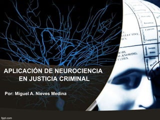 APLICACIÓN DE NEUROCIENCIA
EN JUSTICIA CRIMINAL
Por: Miguel A. Nieves Medina
 