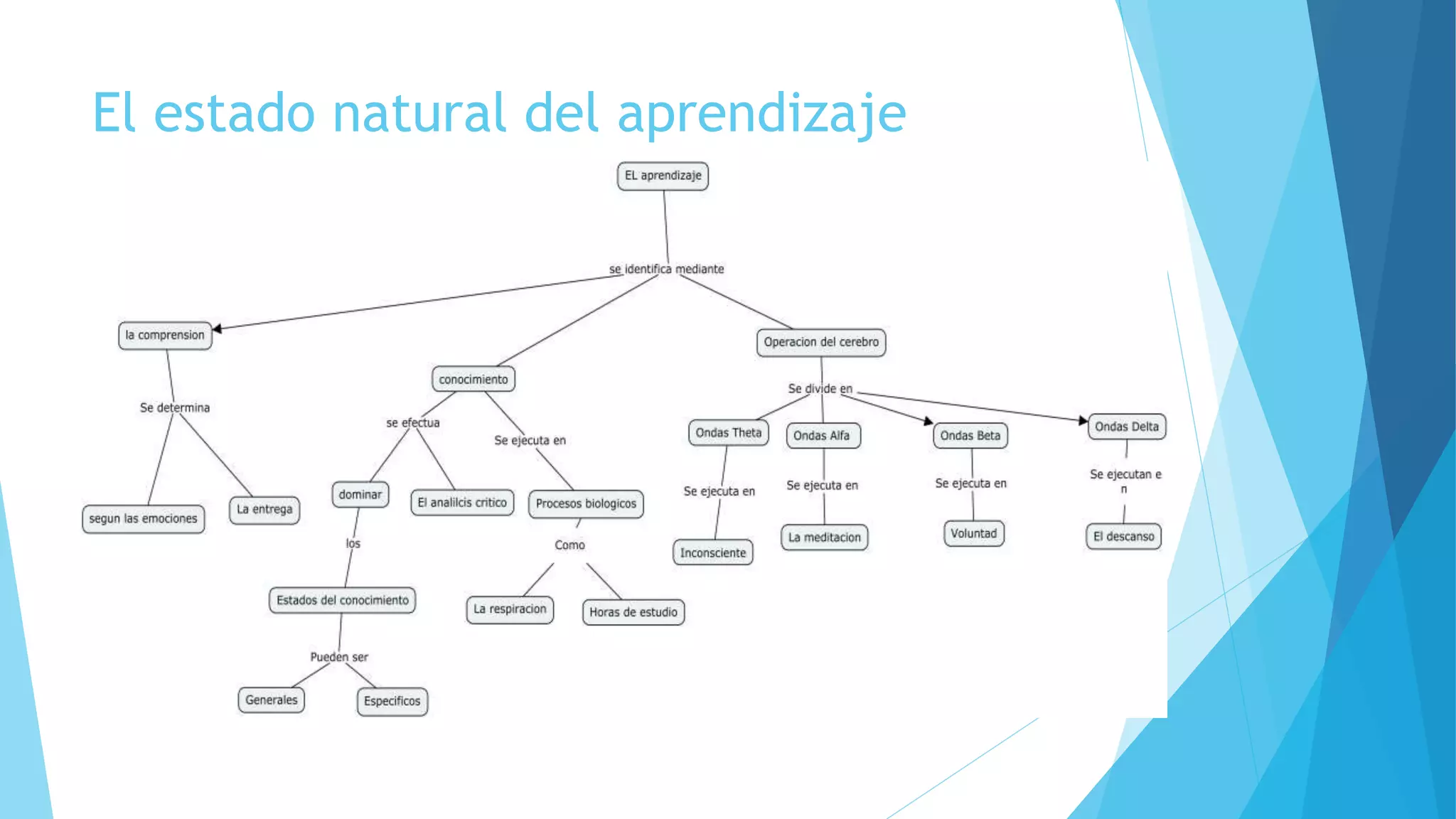 El estado natural del aprendizaje 
 