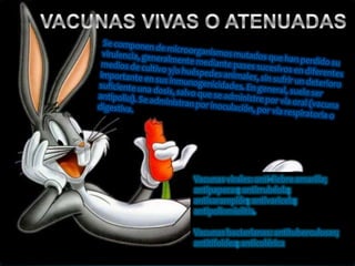 Vacunas virales: anti-fiebre amarilla;
antipaperas; antirrubéola;
antisarampión; antivaricela;
antipoliomielitis.
Vacunas bacterianas: antituberculosas;
antitifoidea; anticolérica

 