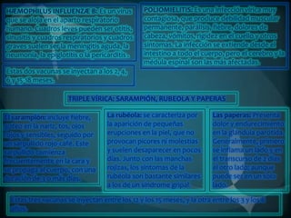 HÆMOPHILUS INFLUENZÆ B: Es un virus
que se aloja en el aparto respiratorio
humano. Cuadros leves pueden ser otitis,
sinusitis y cuadros respiratorios y cuadros
graves suelen ser la meningitis aguda, la
neumonía, la epiglotitis o la pericarditis .

POLIOMIELITIS: Es una infección vírica muy
contagiosa, que produce debilidad muscular
permanente, parálisis, fiebre, dolores de
cabeza, vómitos, rigidez en el cuello y otros
síntomas. La infección se extiende desde el
intestino a todo el cuerpo, pero el cerebro y la
médula espinal son las más afectadas.

Estas dos vacunas se inyectan a los 2, 4,
6 y 15-18 meses.
TRIPLE VÍRICA: SARAMPIÓN, RUBEOLA Y PAPERAS
El sarampión: incluye fiebre,
goteo en la nariz, tos, ojos
rojos y sensibles, seguido por
un sarpullido rojo-café. Este
sarpullido comienza
frecuentemente en la cara y
se propaga al cuerpo, con una
duración de 3 o más días.

La rubéola: se caracteriza por
la aparición de pequeñas
erupciones en la piel, que no
provocan picores ni molestias
y suelen desaparecer en pocos
días. Junto con las manchas
rojizas, los síntomas de la
rubéola son bastante similares
a los de un síndrome gripal.

Las paperas: Presenta
dolor y endurecimiento
en la glándula parótida.
Generalmente, primero
se inflama un lado y en
el transcurso de 2 días
el otro lado; aunque
puede ser en un solo
lado.

Estas tres vacunas se inyectan entre los 12 y los 15 meses, y la otra entre los 3 y los 6
años.

 