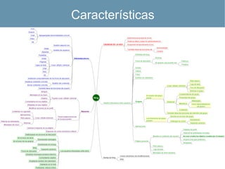 Características 