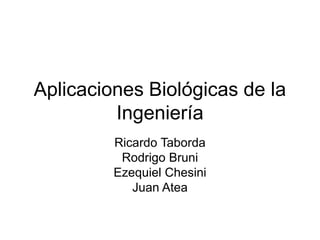 Aplicaciones Biológicas de la
Ingeniería
Ricardo Taborda
Rodrigo Bruni
Ezequiel Chesini
Juan Atea
 