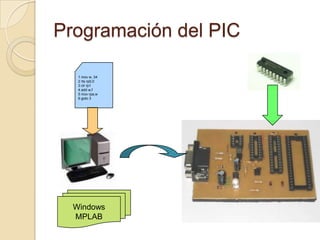 Programación del PIC1 mov w, 342 rts rp0,03 clr rp14 addw,f5 movrpa,w6 goto 3WindowsMPLAB