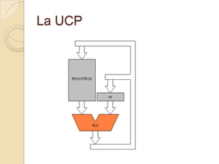 La UCP