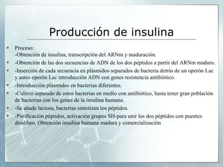 Producción de insulinaProceso:-Obtención de insulina, transcripción del ARNm y maduración.-Obtención de las dos secuencias de ADN de los dos péptidos a partir del ARNm maduro.-Inserción de cada secuencia en plásmidos separados de bacteria detrás de un operón Lac y antes operón Lac introducción ADN con genes resistencia antibiótico.-Introducción plásmidos en bacterias diferentes.-Cultivo separado de estos bacterias en medio con antibiótico, hasta tener gran población de bacterias con los genes de la insulina humana.-Se añade lactosa, bacterias sintetizan los péptidos.-Purificación péptidos, activación grupos SH-para unir los dos péptidos con puentes disulfuro. Obtención insulina humana madura y comercialización
