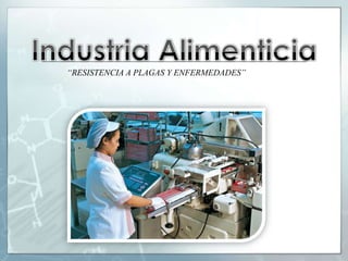 VENTAJASDisminución de perdidas  en las cosechas por enfermedades o plagas, principalmente por factores ambientales.Mejora en la nutrición. Se puede llegar a introducir vitaminasy proteínas adicionales en alimentos así como reducir los alérgenos y toxinas naturales. También se puede intentar cultivar en condiciones extremas lo que auxiliaría a los países que tienen menos disposición de alimentos.Mejora en el desarrollo de nuevos materiales.Reducción del consumo de insecticidas para el control de plagas. Protección duradera y efectiva en las fases críticas del cultivo. Ahorro de energía en los procesos de fabricación de insecticidas.