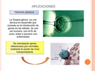 APLICACIONES
      TERAPIA GENICA


  La Terapia génica es una
  técnica en desarrollo que
consiste en la introducción de
genes en las células de una
  ser humano, con el fin de
 curar, aislar o prevenir una
         enfermedad

    Se reemplazan genes
  defectuosos por normales,
  mediante la acción de virus
       transportadores
 